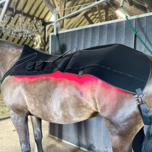 Horse back therapy blanket